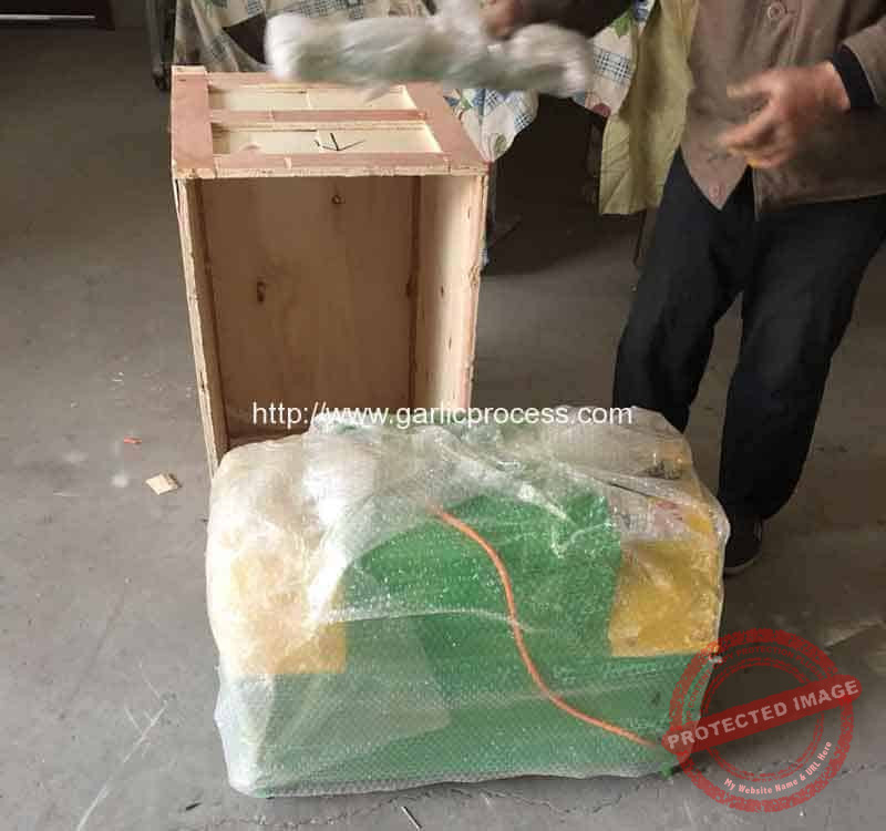 Garlic-Leaf-and-Stem-Cutting-Machine-for-Spain-Customer